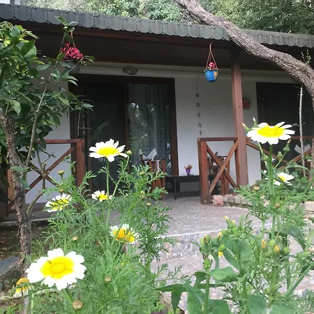 Отель Lagoon Boutique Олудениз