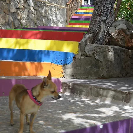 Lagoon Boutique 2* אולודניץ