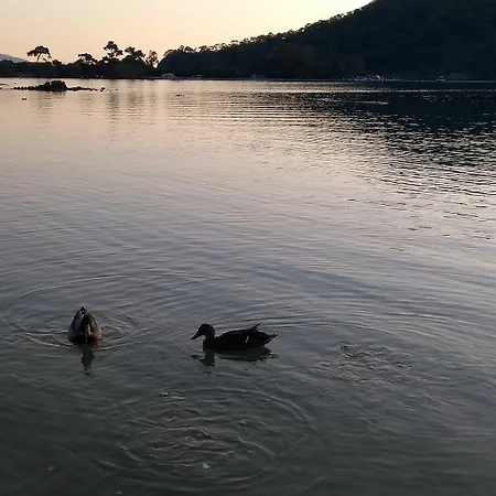 מלון Lagoon Boutique