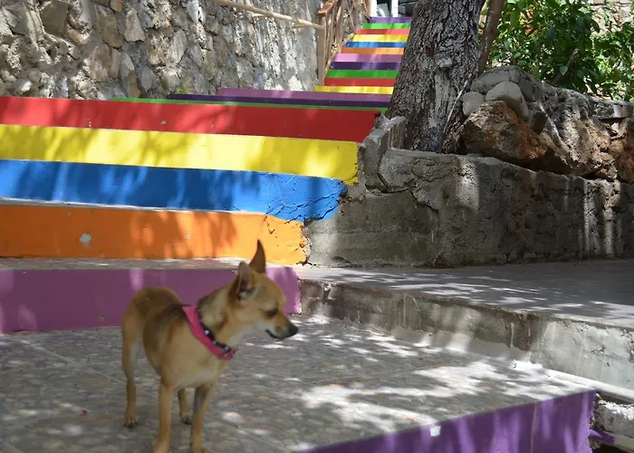 Lagoon Boutique 2* Oludeniz